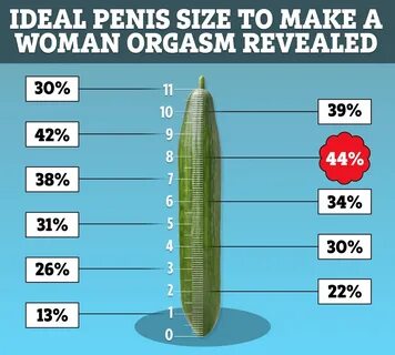 normal penis girth size - www.ermcgs.com.