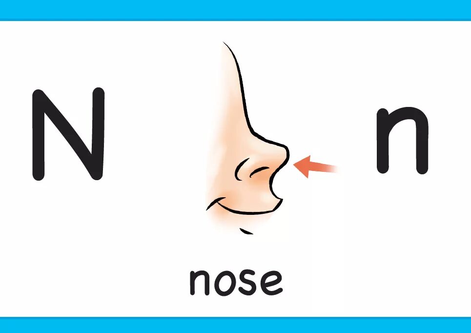Нос перевести на английский. Карточка нос. Нос карточка для детей. Нос на английском для детей. Изображение носа для детей.