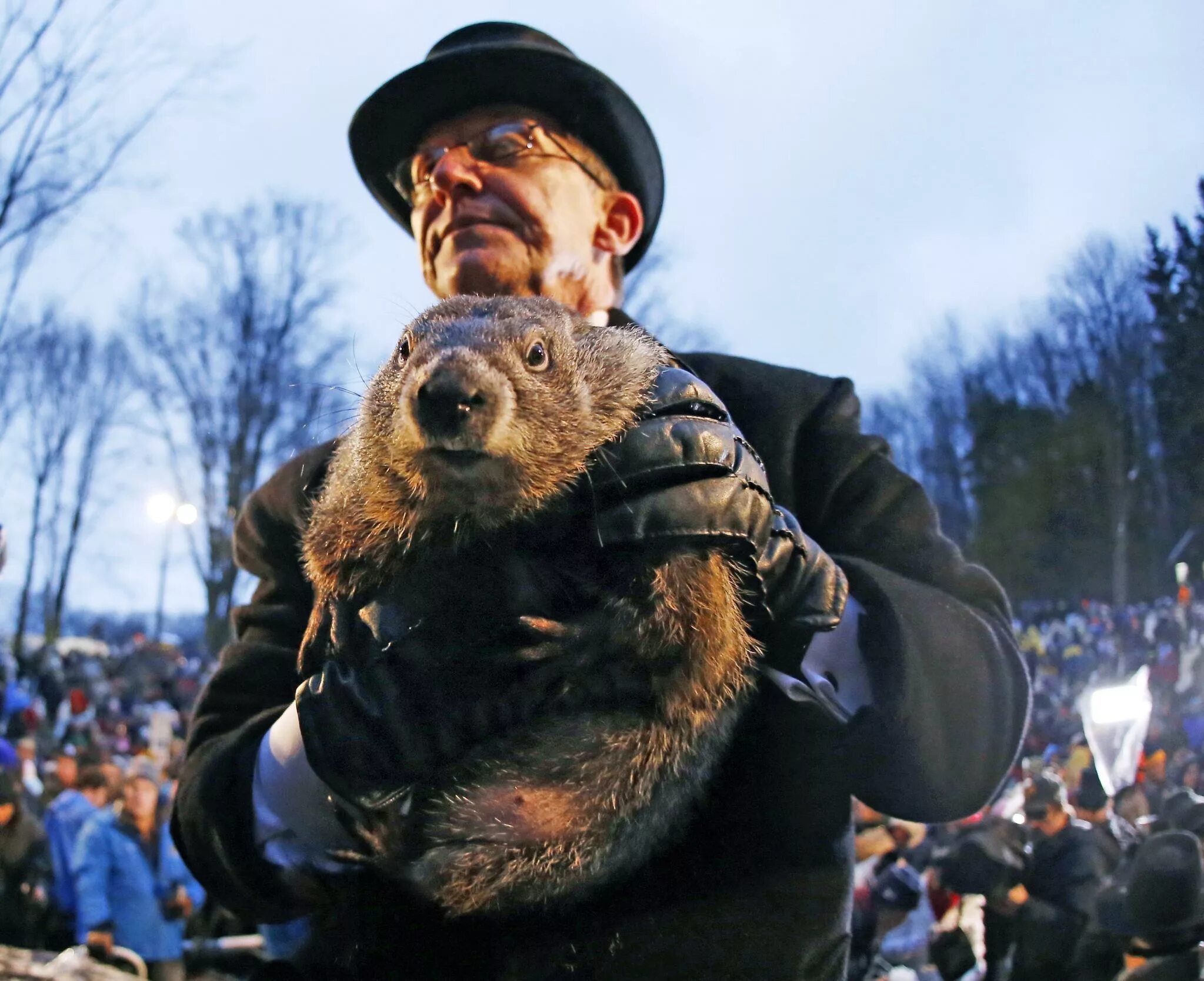 Панксатонский Фил сурок. Фил из Панксатони. Сурок из Панксатони. Groundhog Day праздник. Знаменитый фил из панксатони 5 букв