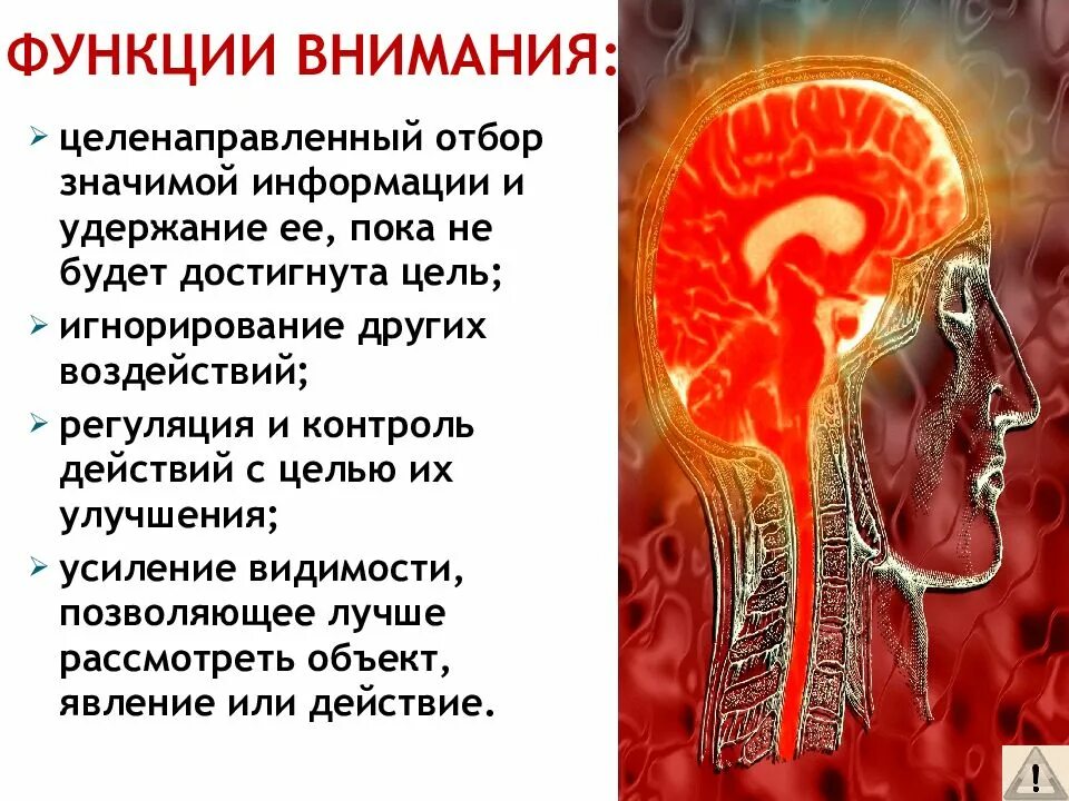 Функции внимания. Внимание функции внимания. Функции внимания в психологии. Каковы основные функции внимания.