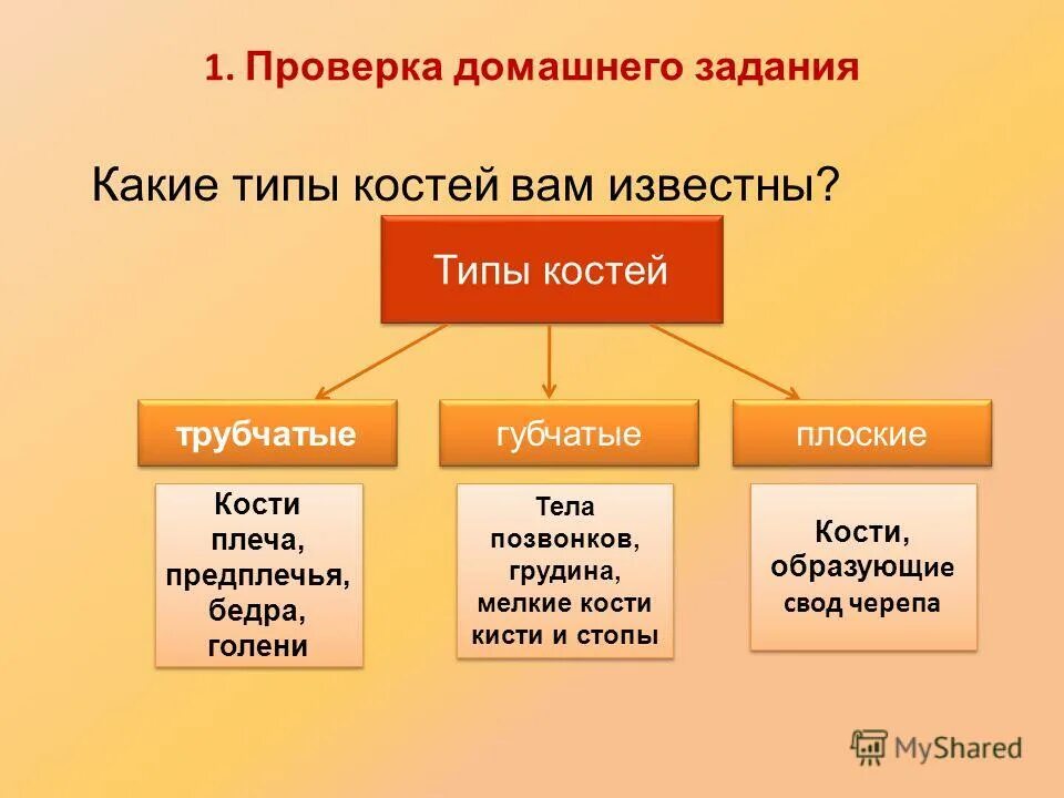 Трубчатые губчатые плоские кости. Таблица строение кости биология 8 класс. Типы костей биология 8 класс. Трубчатые и губчатые кости таблица. Кост и трубчатые губчатые.