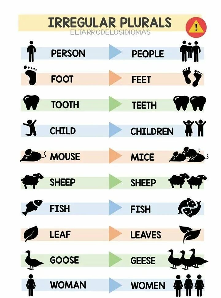 Irregular plurals. Irregular plurals
