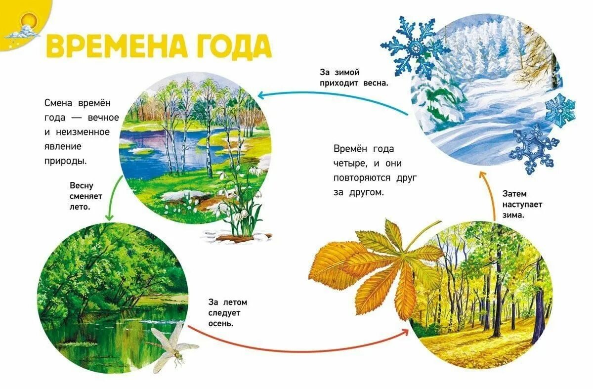 Надо по времена года. Сезонные изменения в природе. Смена времен года. Времена года иллюстрации. Сезонные изменения в природе для детей.