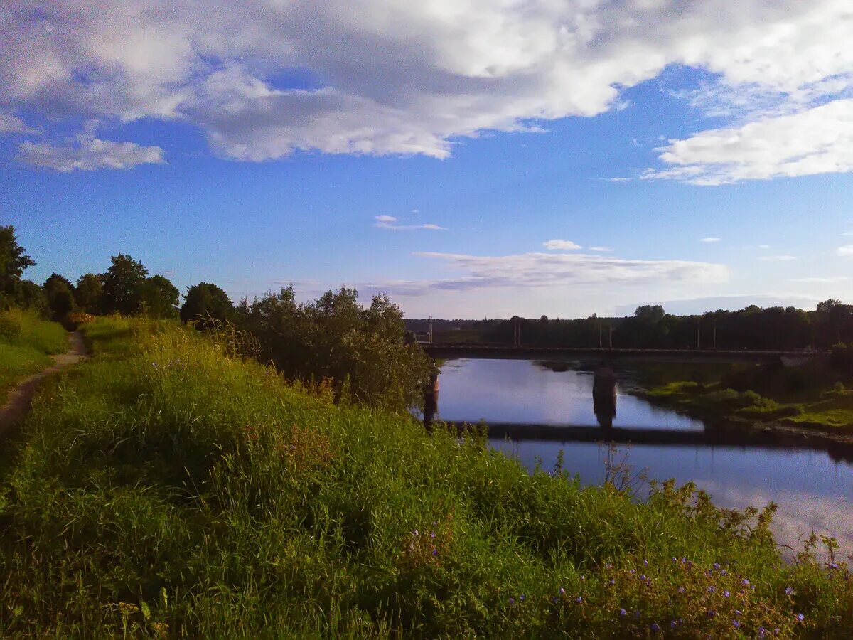 Река Луга Кингисепп. Река Луга Толмачево. Кингисепп мост через лугу. Река Луга в Ленинградской области. Река луга и человек