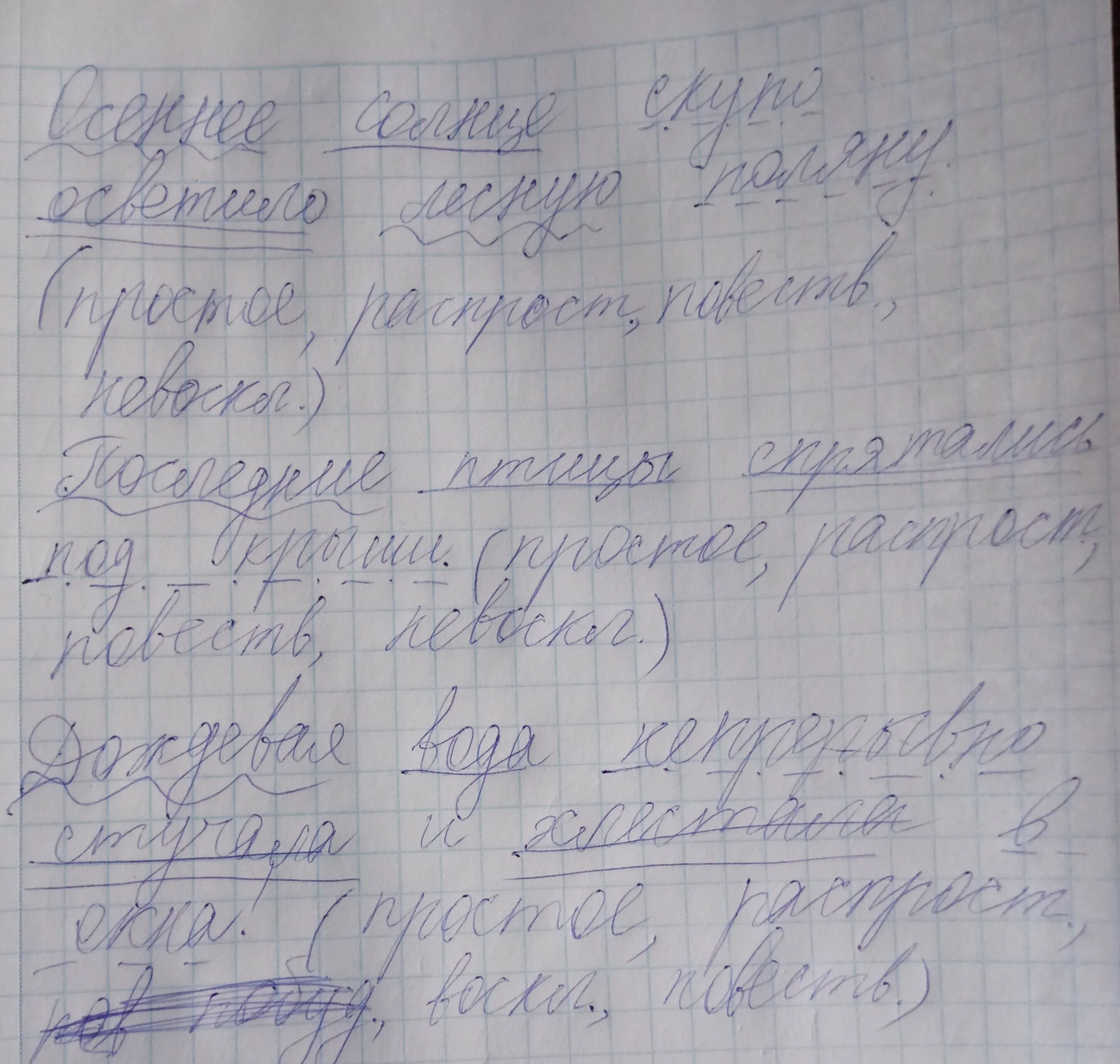 Синтаксический разбор предложения солнышко осветило лесную поляну. Разобрать предложение последнее птицы спрятались под крышей. Солнечные лучи осветили лесную поляну разбор предложения. Солнечный Луч робко освещает лесную поляну синтаксический разбор.