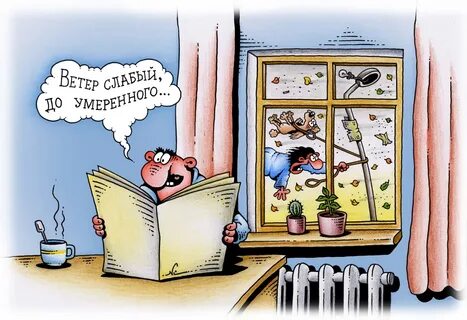 В хорошую погоду меня от окна даже за уши не оттащишь: анекдоты дня Живая Кубань