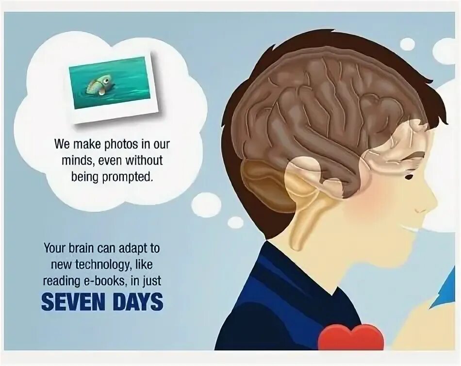 Reading in the brain. Книга мозг. your brain. мозг книги телевизор. learning language brain.