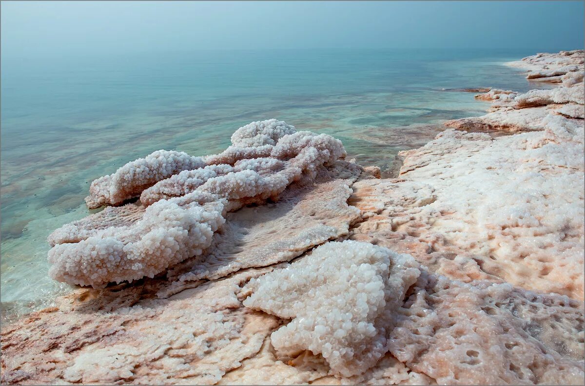 Какие воды самые соленые. Мертвое море. Галофиты мертвого моря. Соль мёртвого моря. Берег мертвого моря.