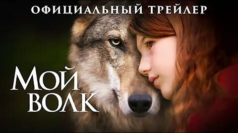 Мой волк 2021