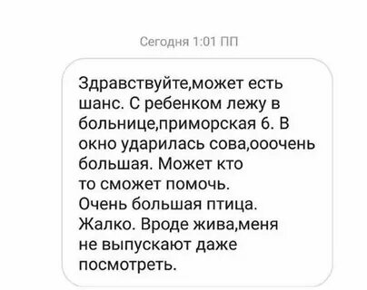 Птица ударилась в окно и упала примета