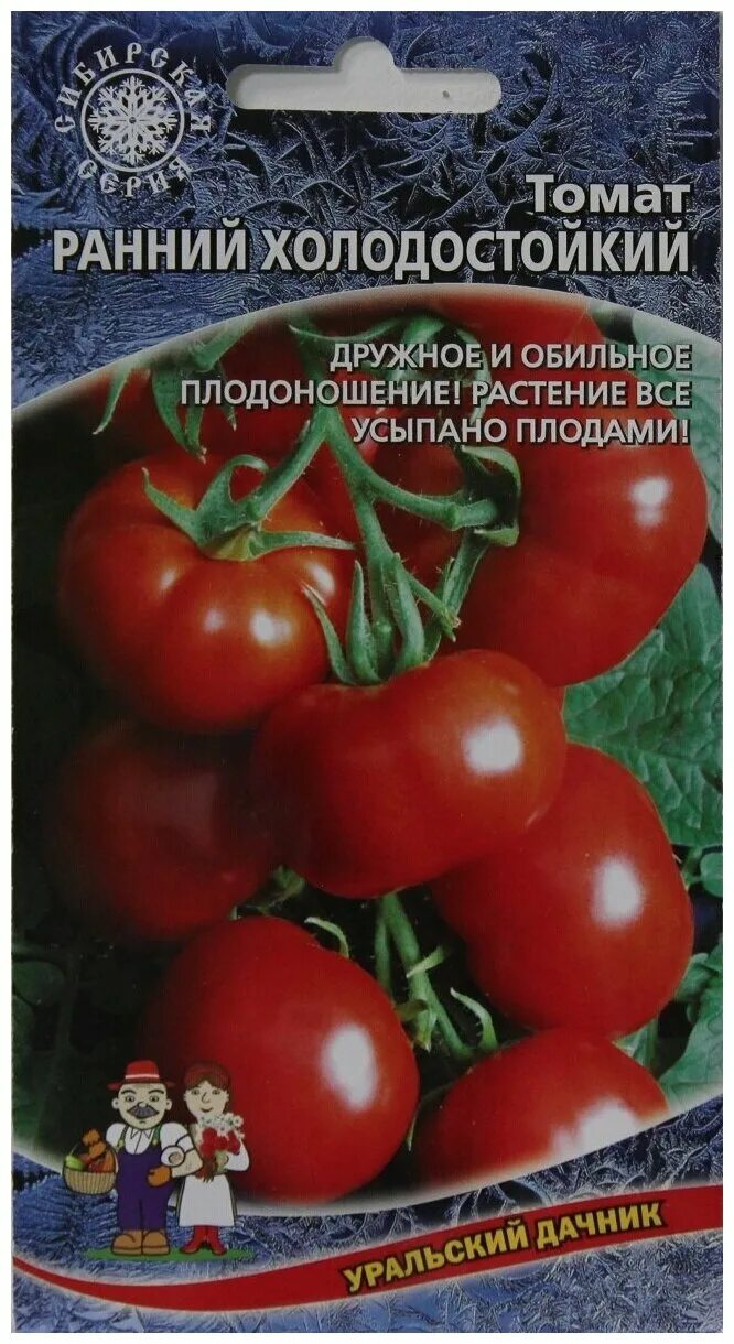 Сорт томата уральский дачник. Томат ранний холодостойкий Уральский Дачник. Сорта томатов Уральский Дачник. Томат Дачник холодостойкий. Томат красная звезда Уральский Дачник.