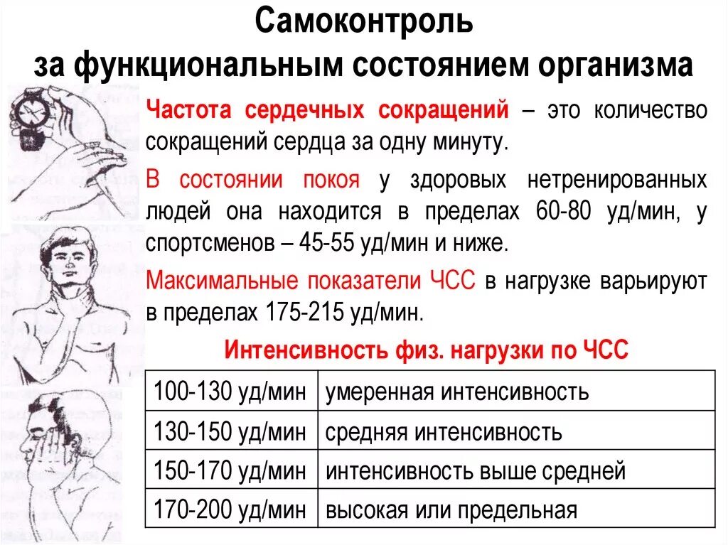 Пульс после массажа. Способы измерения частоты сердечных сокращений. Методика подсчета ЧСС. Измерение частоты сердечных сокращений ЧСС. Самоконтроль ЧСС.