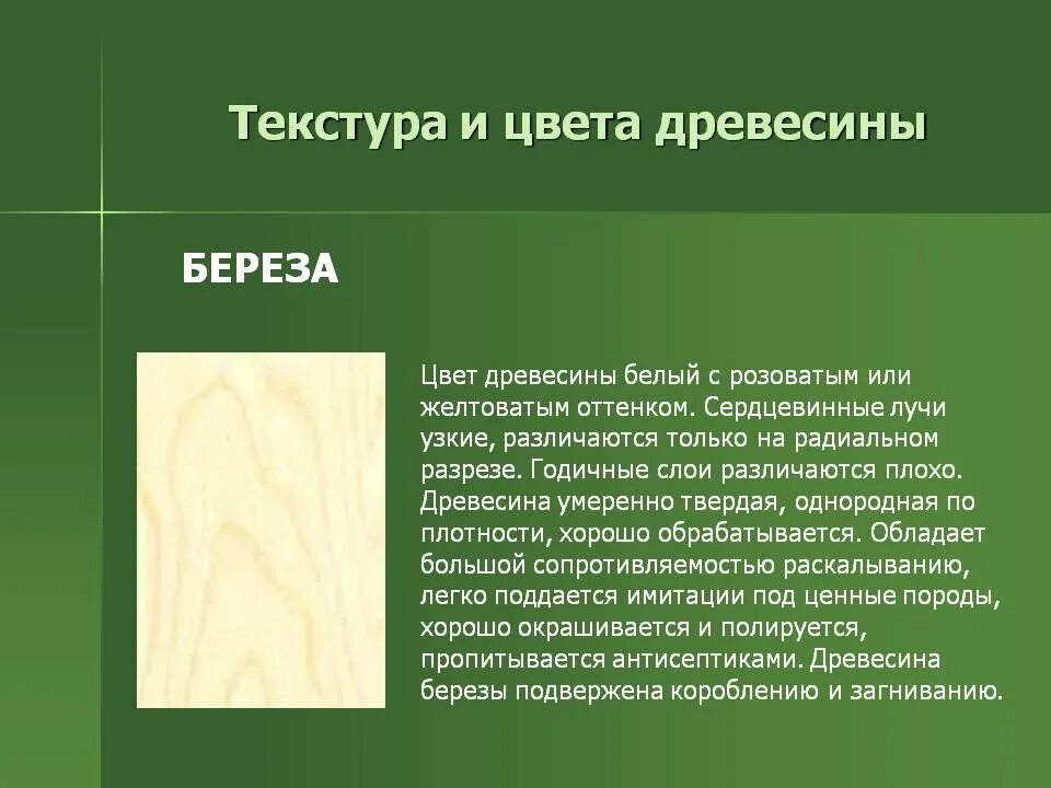 Какую ткань содержит древесина. Какую ткань содержит древесина