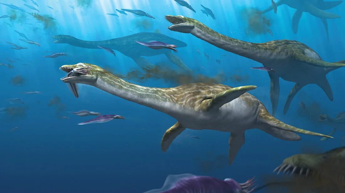 плезиозавр жюль верн. мозазавр эласмозавр. реликтовый плезиозавр. мозазавр динозавр. динозавры морские плезиозавр.