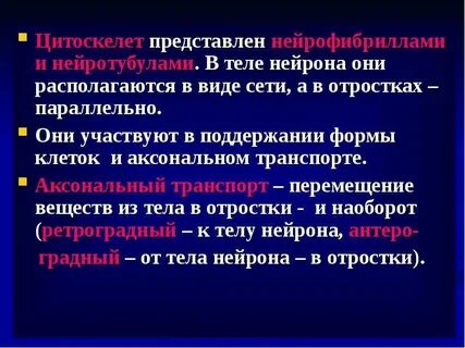 Цитоскелет функции и особенности