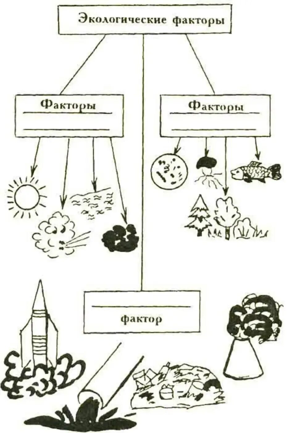 Экологические факторы среды 9 класс биология. Схема экологические факторы среды 5 класс биология. Схема влияние экологических факторов на растения. Схема факторов экологии. Взаимосвязь экологических факторов схема.