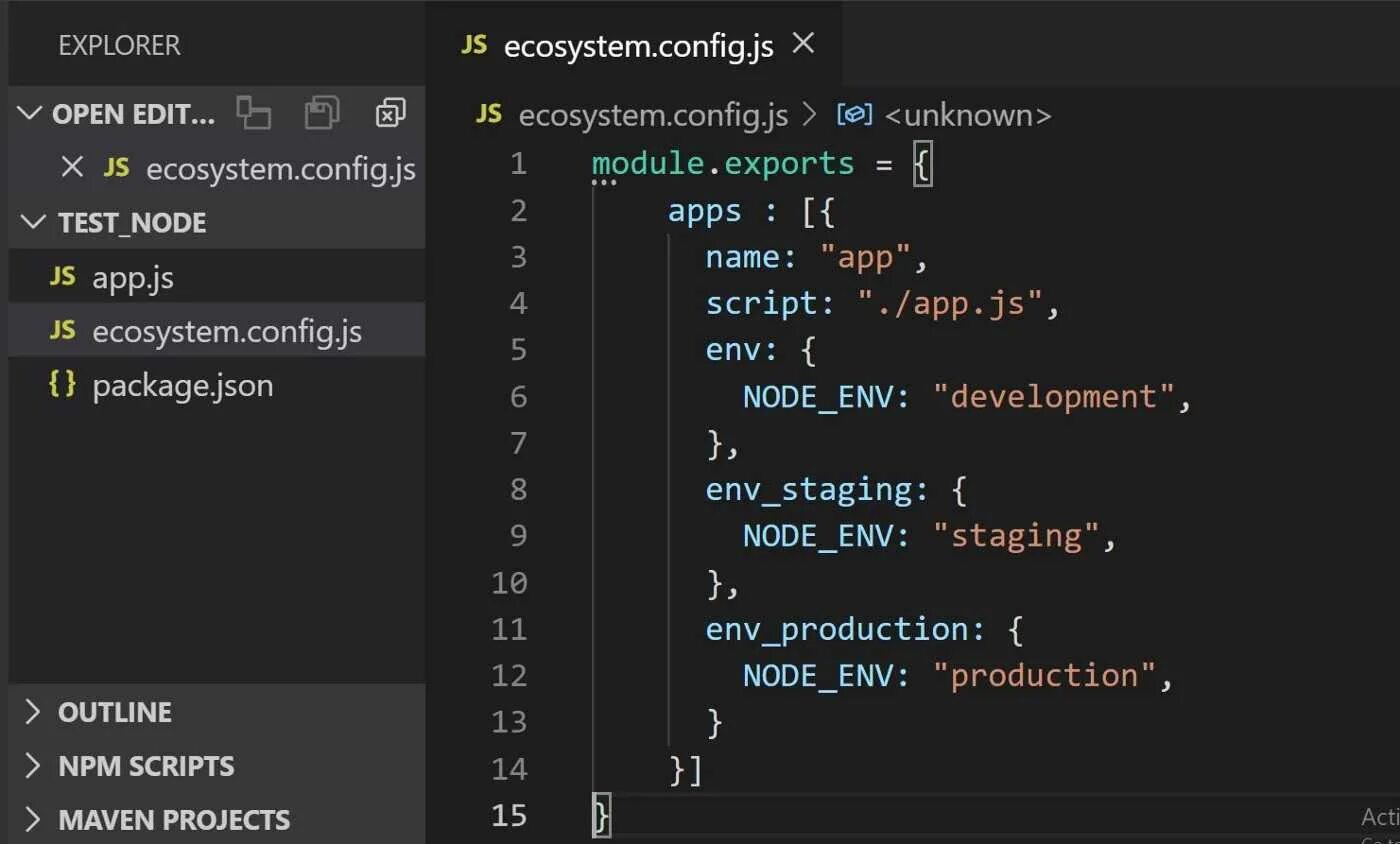Node js config. Node js config
