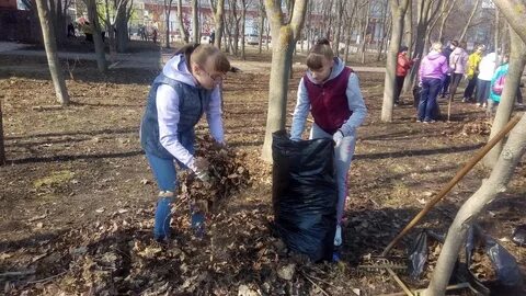 С одного опытного участка школьники