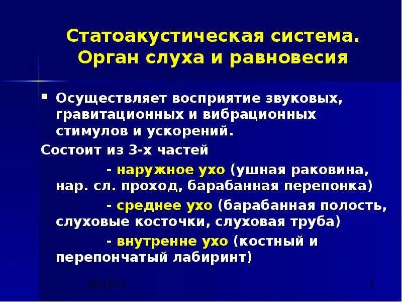 Осуществляет восприятие. Осуществляет восприятие