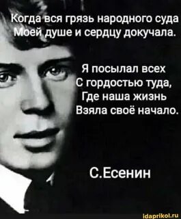Где взять живу