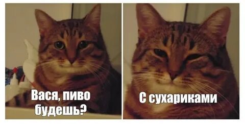 Никем не скошенная