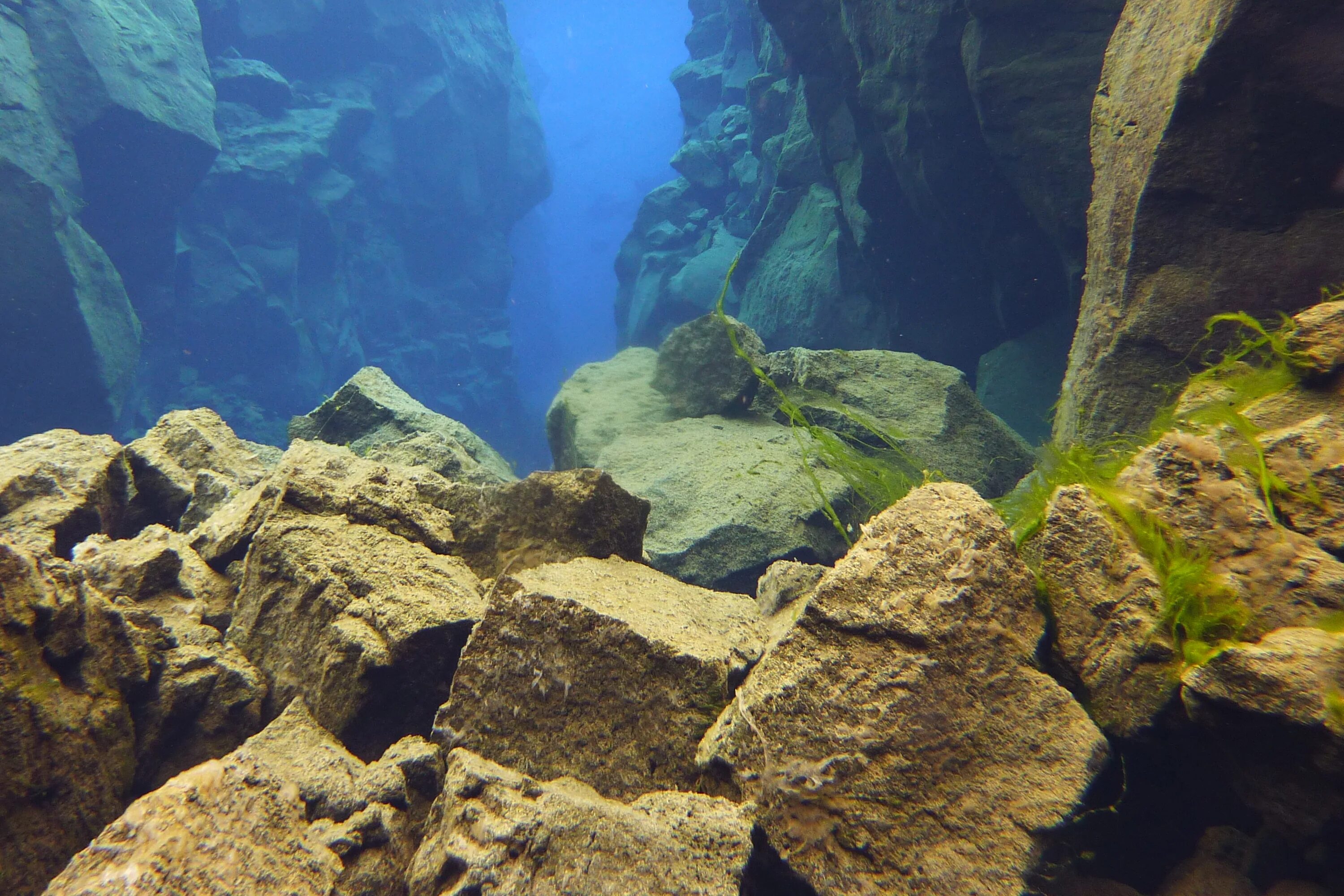 Ущелье Силфра, Исландия. Разлом Сильфра Исландия. Подводные скалы. Скалы под водой.