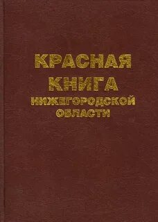 Нижегородская область книга