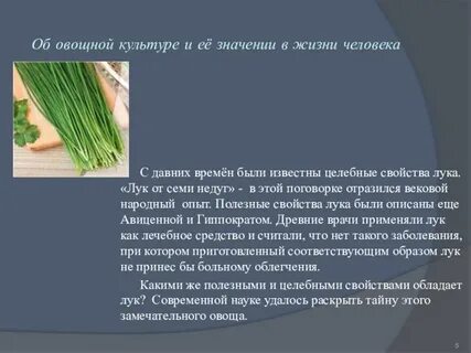 Лук значение