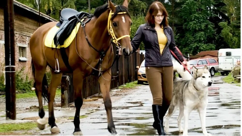 Девушки собаки лошади. Ведет лошадь. Ведет лошадь под уздцы. Лошадь с хозяином. Девушка ведет лошадь.