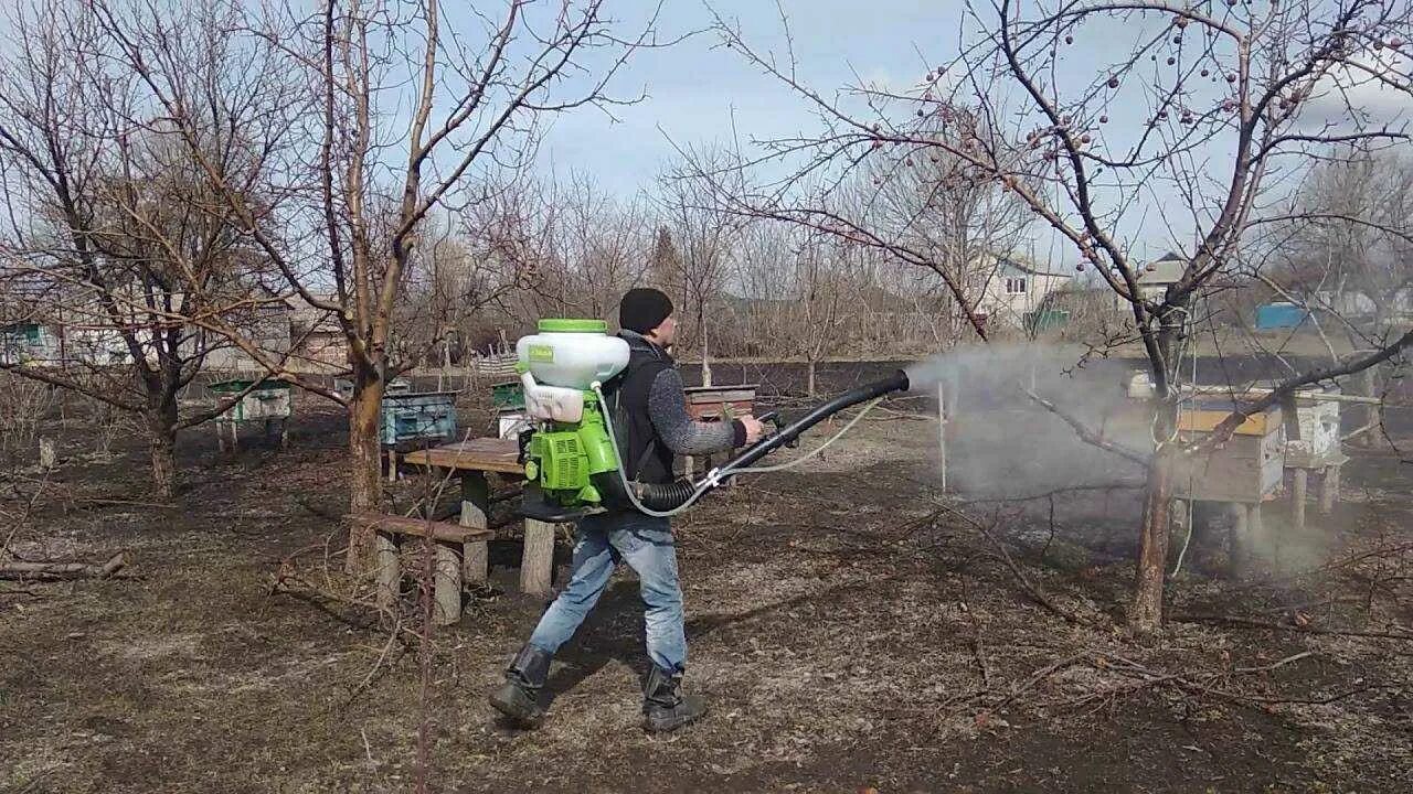 Можно ли опрыскивать медным купоросом. Медный купорос для обработки деревьев. Медный купорос обработка деревьев яблони. Обработка сада весной медным купоросом. Обработка деревьев в саду.