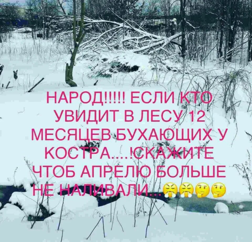 У всех кто видел как в день. Народ если кто увидит в лесу 12 месяцев. Народ если увидите 12 месяцев бухающих в лесу. Народ если кто увидит в лесу 12.