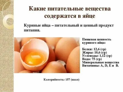 Что содержится в курином белке