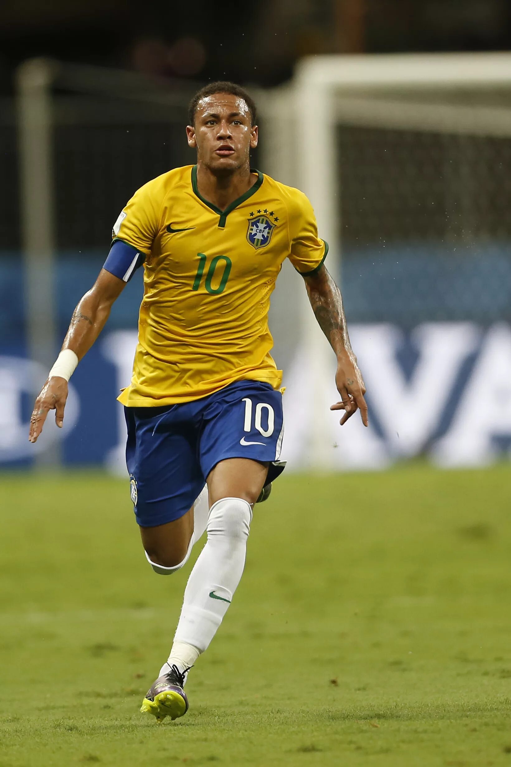 Silva santos