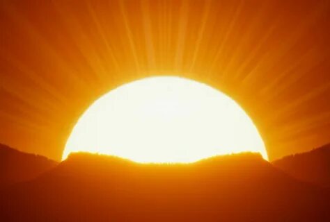 Порнодағы қырынбаған әйелдер