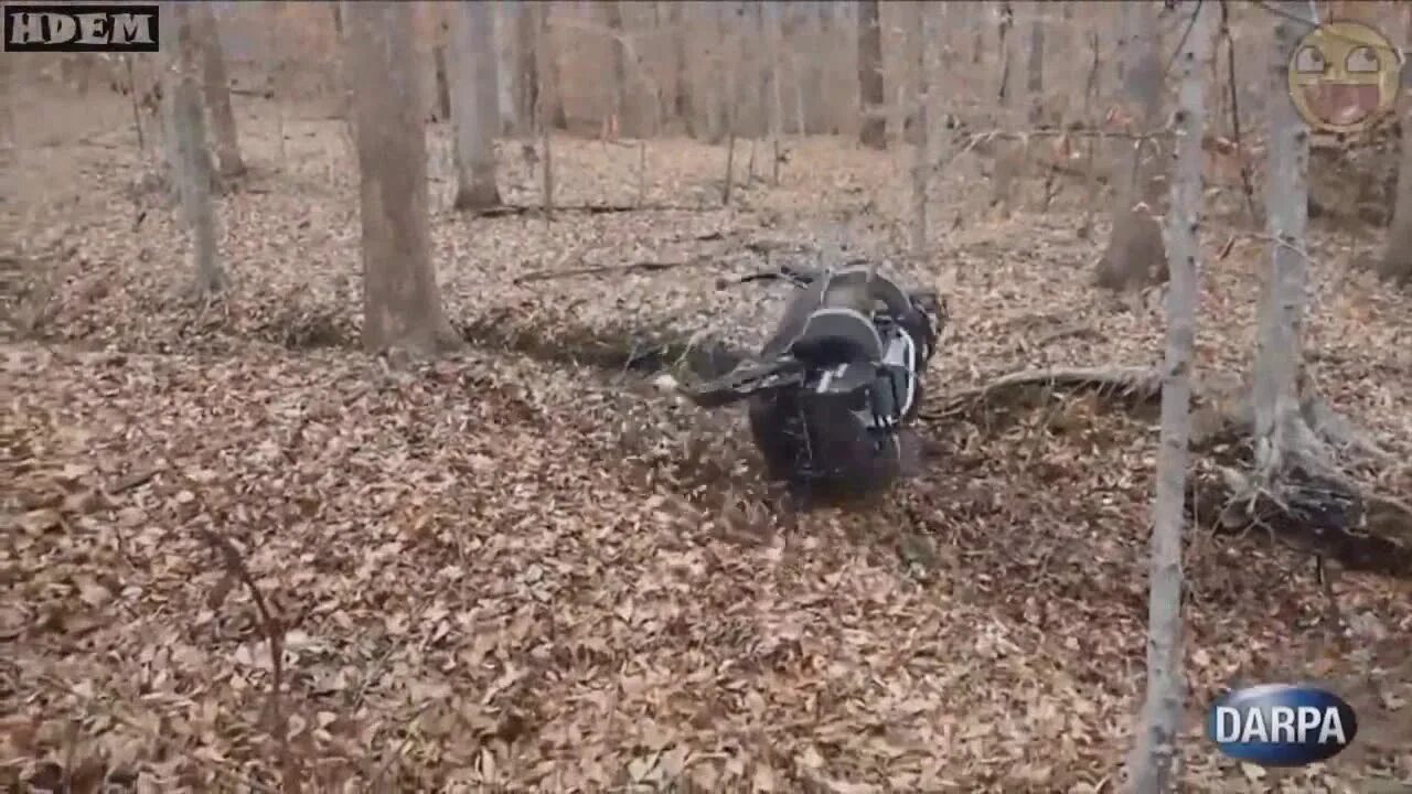 Робот ругается матом. Робот упал. яндекс робот упал. роза робот упал. робот смешно упал.