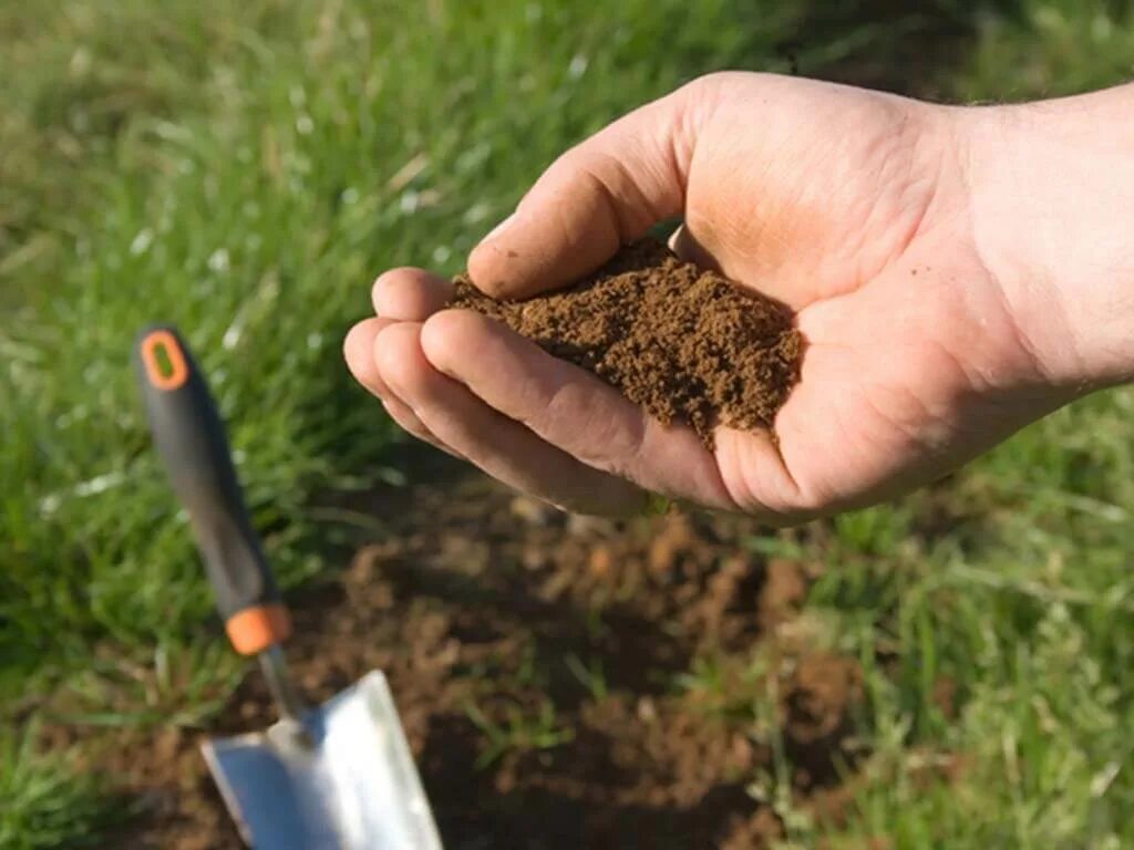 Почва. Кислая почва. Закисленность почвы. Дренированная почва. Кислотность грунта почвы