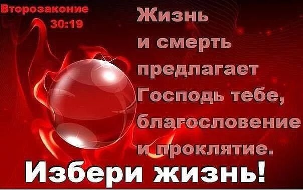 Вечная жизнь проклятие