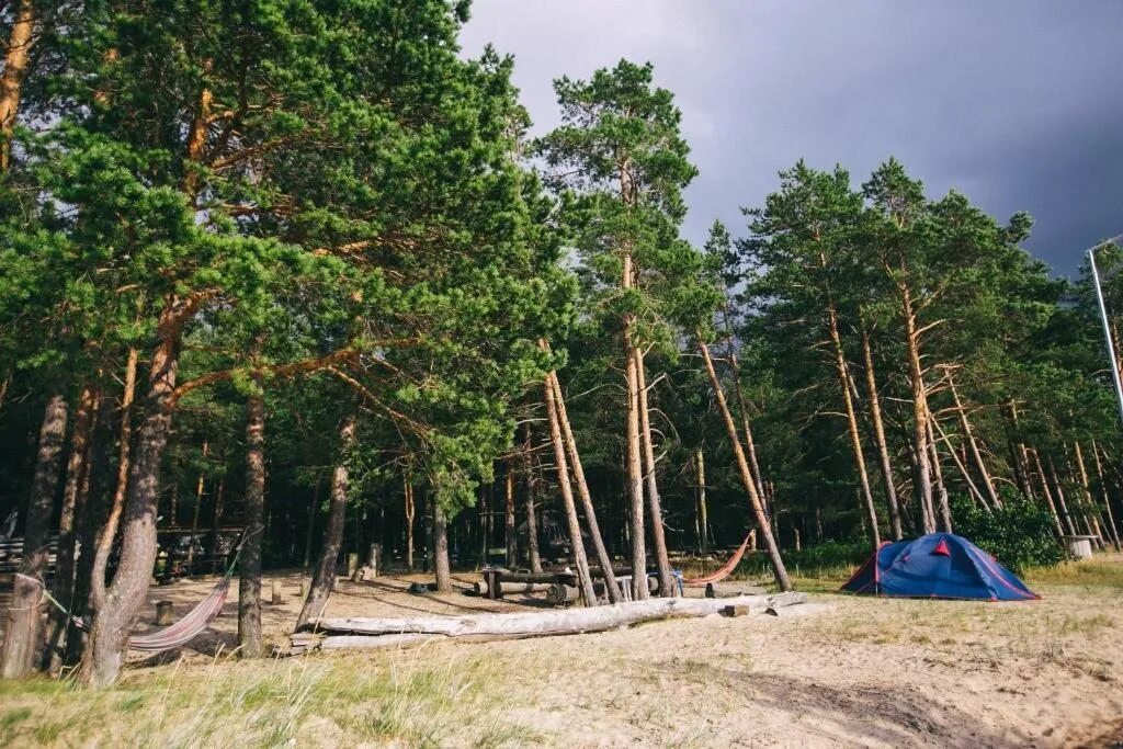 Wind Hunters Station Ленинградская область, Сосновый Бор. Wind Hunters Surf Station Сосновый Бор. Автокемпинг Сосновый Бор Ленинградская область. Воронеж автокемпинг Сосновый Бор.