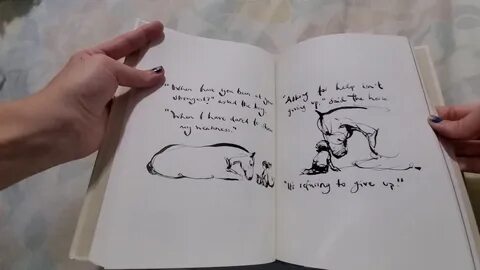 The boy the mole