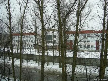 Старая купавна 2