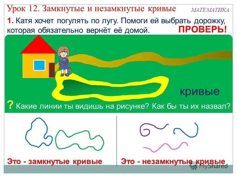 Прямые и кривые линии. Замкнутые кривые. Замкнутые и незамкнутые линии. Замкнутые и незамкнутые кривые линии. Любая линия имеет