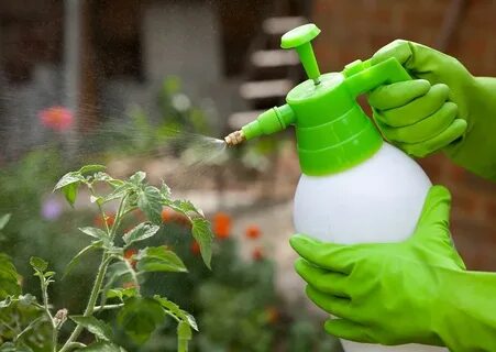 Защита растений удобрения