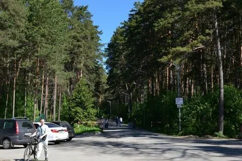 Как доехать до заельцовского парка