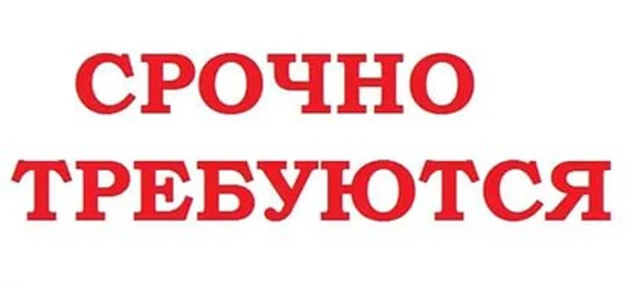 Срочно требуется. Срочно. Есть работа. Есть работа картинки. Наклейки срочно