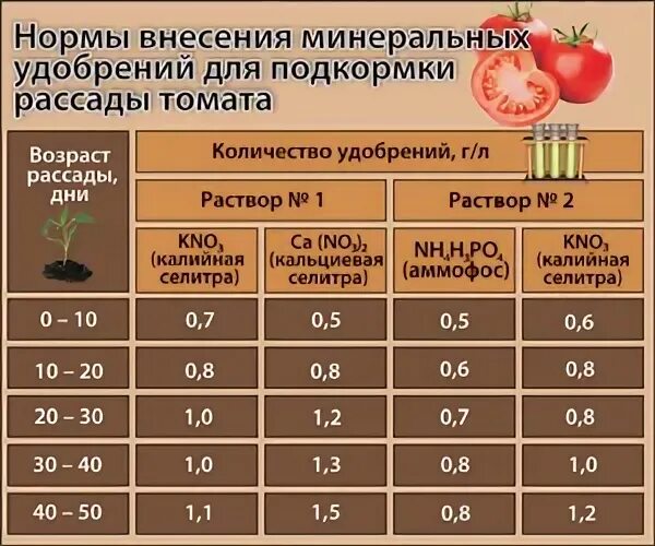 Подкормка рассады томатов суперфосфатом