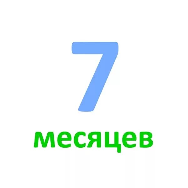 7 месяцев рф