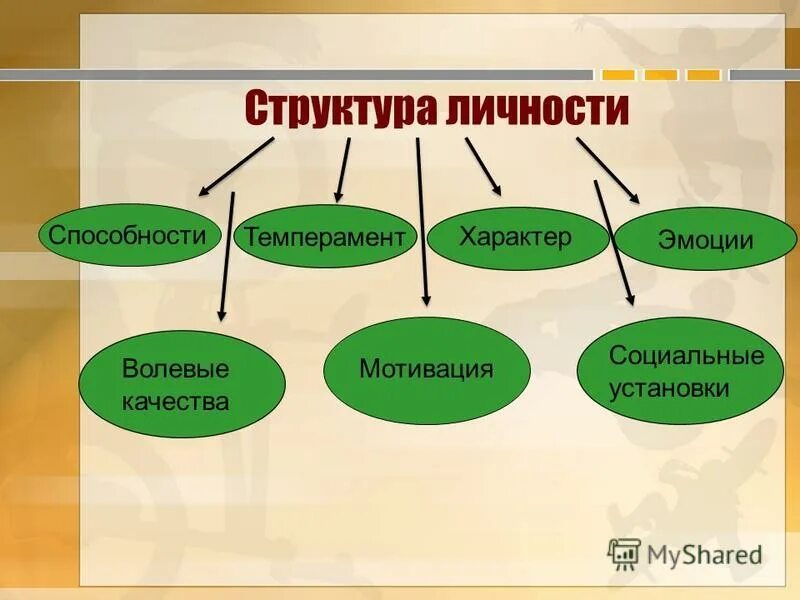 Структура эмоциональной сферы человека. Взаимосвязь эмоций и мотивов. Структура эмоций. Темперамент и характер в психологии. Строение личности.