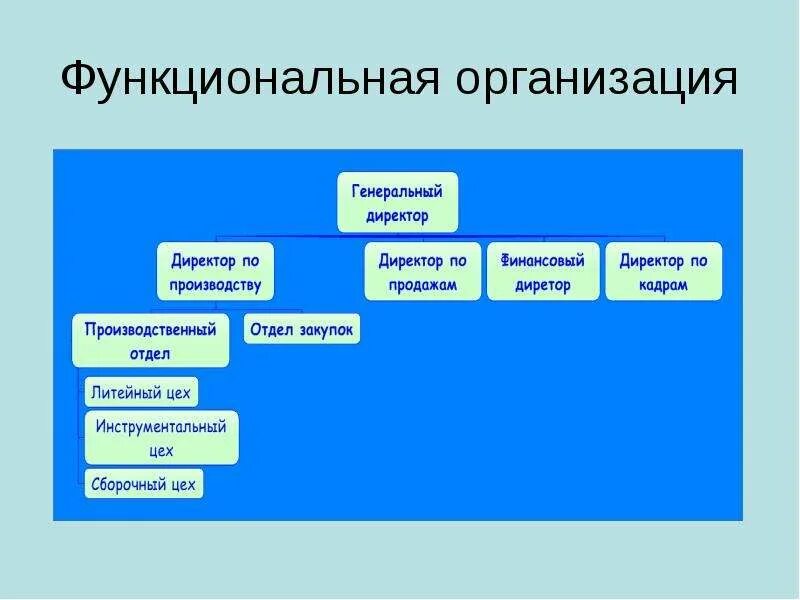 Функциональная организация. Функциональная организация картинка. Функциональная организация МП. Функциональное место в организации. Функциональная организация организмов