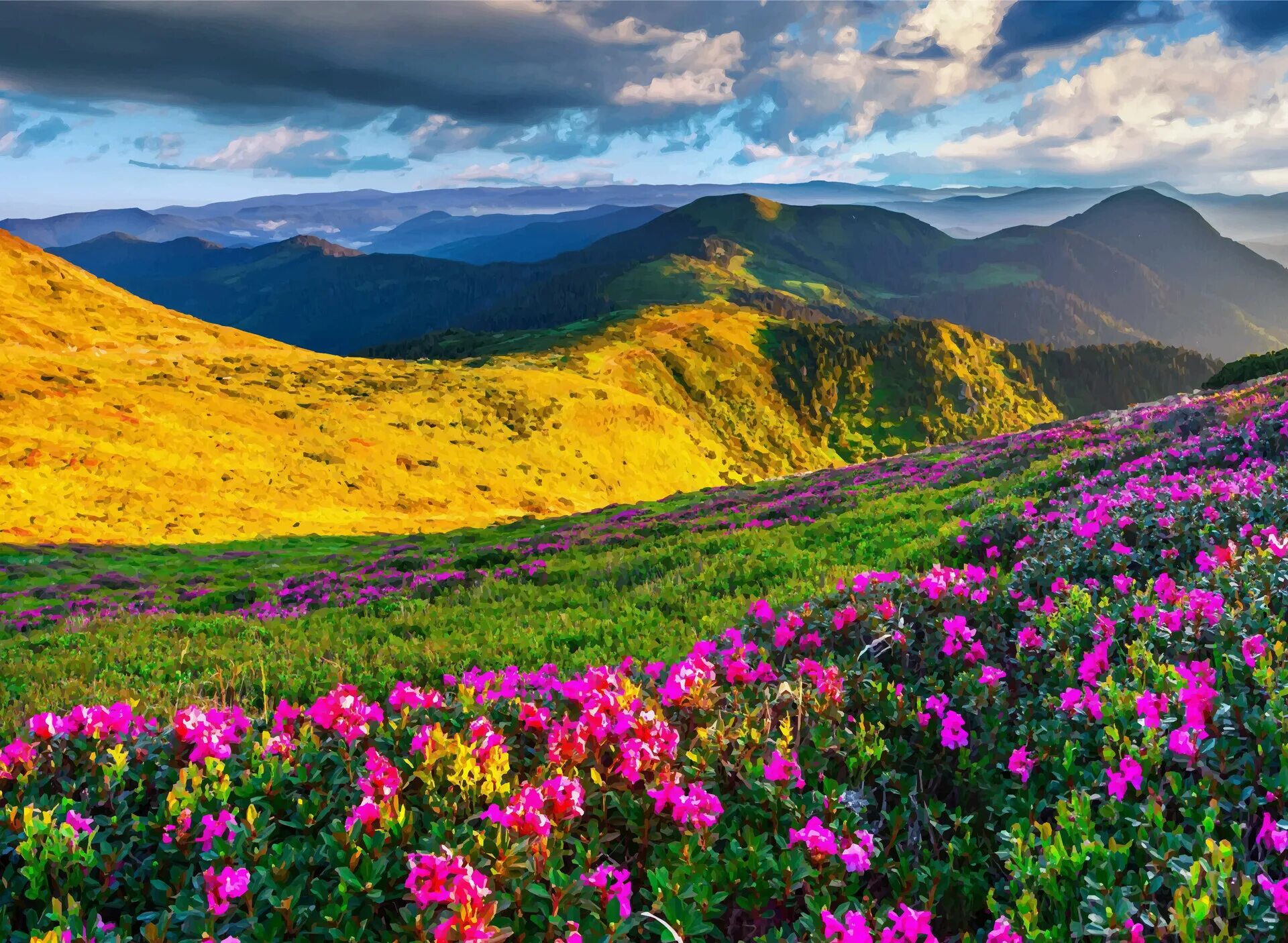 Flowers valley. Альпийские Луга Франции. Швеция Альпийские Луга. Альпийские Луга Испании. Цветущая Долина горный Алтай.