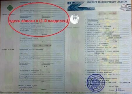 Как узнать сколько владельцев по птс